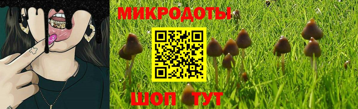 Псилоцибиновые грибы Psilocybe  Вход с VPN  Южноуральск 